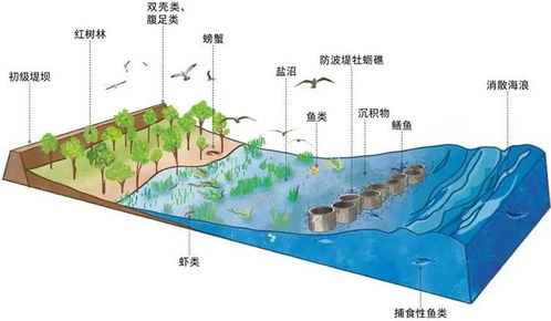 海洋生态系统保护