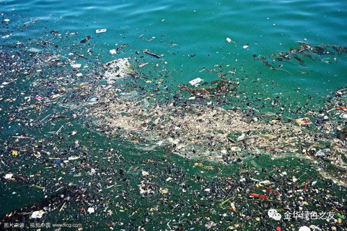 海洋污染的防治