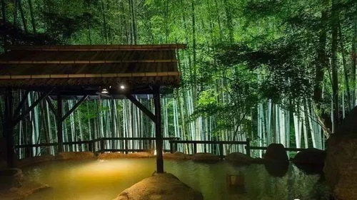 探索日本温泉文化一本全方位的温泉百科