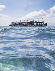 东南亚潜水性价比之冠！让你体验绝美的海底世界