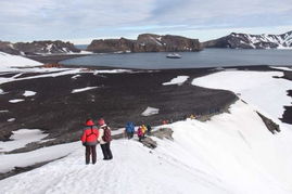 南极探险旅游路线：一场充满挑战与美景的之旅