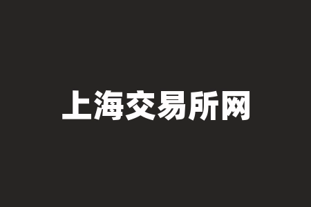 上海交易所网站 ｜ 投资者如何利